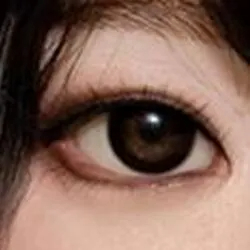 ナチュラルブラウン（別バージョン）