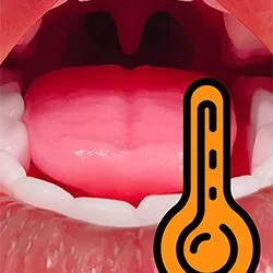 口腔加熱機能