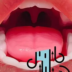 口腔吸引機能