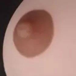 ダークブラウン
