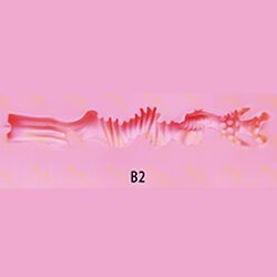 B2