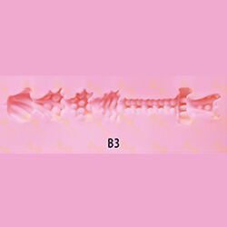 B3