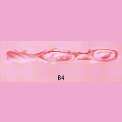 B4