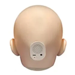 ヘッド音声機能