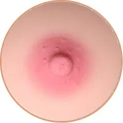 NO.1
